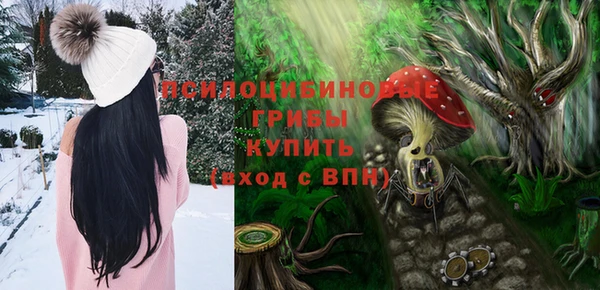эйфоретик Касимов