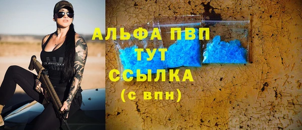 гашик Карпинск