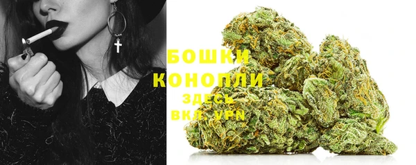 гашик Карпинск