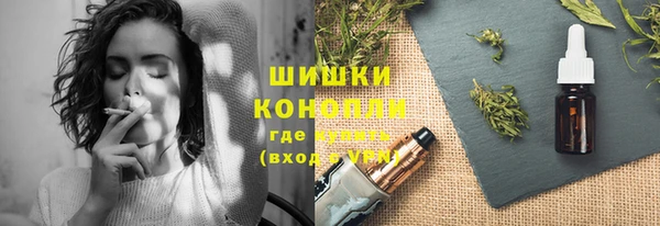 дмт Козельск
