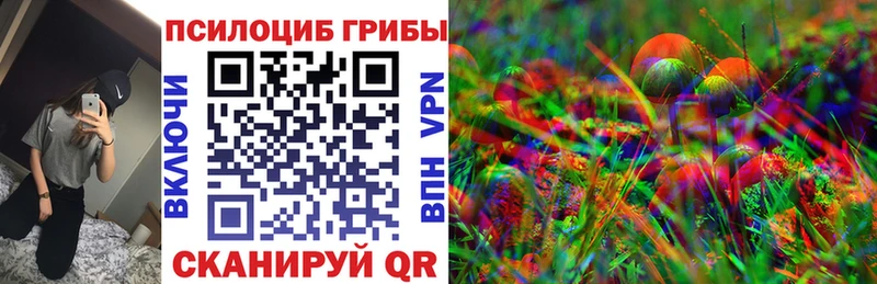 наркота  Истра  Псилоцибиновые грибы Psilocybe 