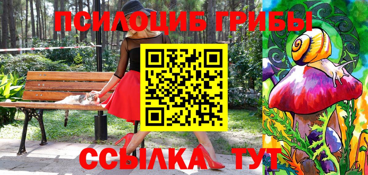 Псилоцибиновые грибы мицелий  Вход с VPN  Истра 